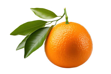 Vibrant Orange Fruit With Lush Green Leaves Against A Clean White Background on Transparent PNG Background.
