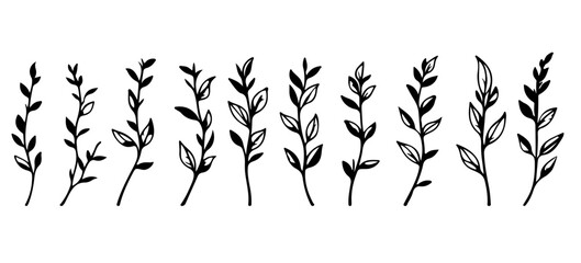 Simple Line Drawing Set Of Plants Black Sketch of Flowers Isolated on White Background. Flowers Linear Illustration. Minimalist Prints Set. Vector EPS 10.	