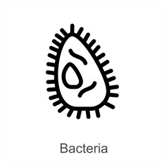 Bacteria