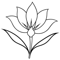 Fototapeta premium A flower with pringles