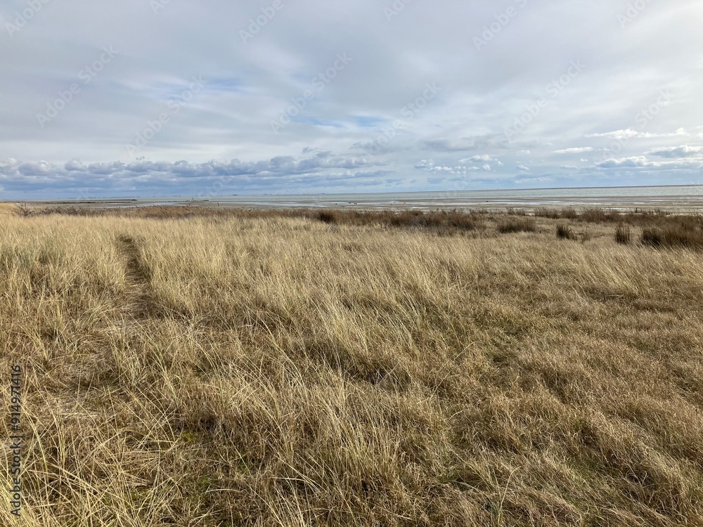 Canvas Prints  Blick auf die Küstenlandschaft der Nordseeinsel Juist