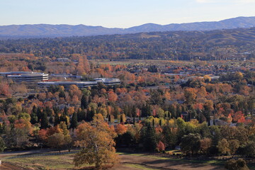 Fall foliage along the city streets of Pleasanton, California