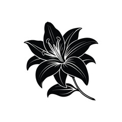 Obraz premium a morning glory flower silhouette vector illustration