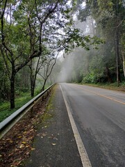 Obraz premium road in the woods, Mountains with fog,