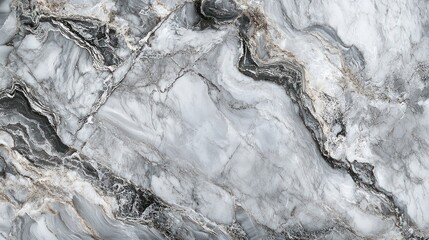 Fototapeta premium Gray and White Marble with Intricate Veining