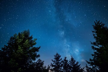 Fototapeta premium Delve into the science of overhead star arrangements with celestial blueprints on a clear night