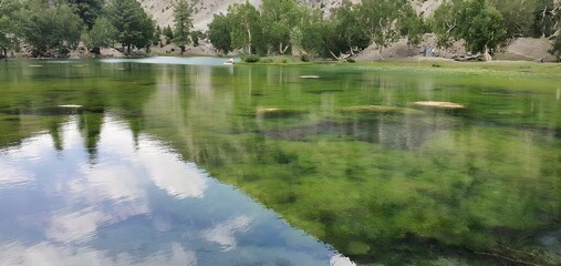 Green lake located in Naltar Gilgit Baltistan Pakistan.
