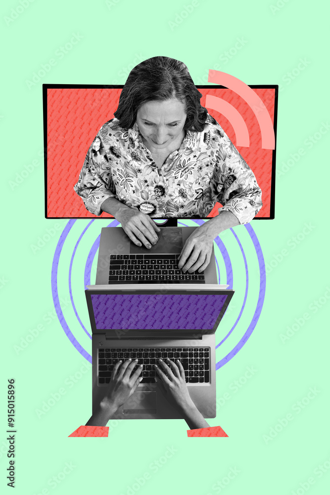 Poster vertical image collage mature woman typing laptop user keyboard digital device signal network connec