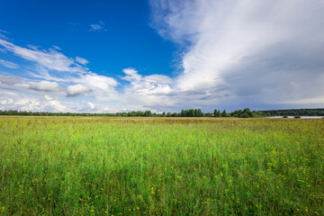 Fototapeta premium Bright green grass stretches across the meadow as fluffy clouds drift above, reflecting the tranquility of the lake nearby.