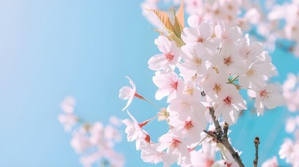 Obraz premium spring seasons