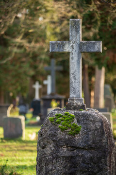 Pragfriedhof Cemetery, Stuttgart in Stuttgart-Nord, Baden-W&uuml;rttemberg