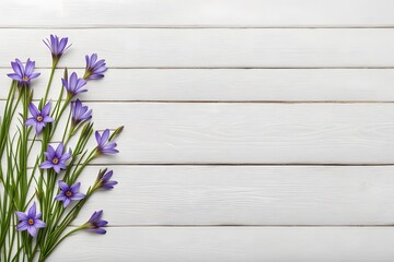 Blue eyed grass flowers on white wooden, AI Generated