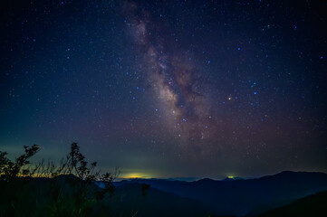 Naklejka premium 夜空の星々：木々のシルエットと満天の星