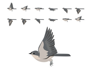 Tufted Titmouse Bird Flying Animation Sequence Cartoon Vector © bullet_chained