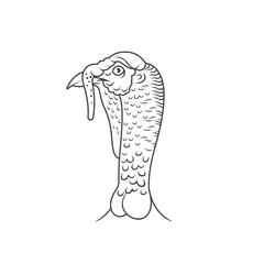 simple drawing of a turkey, vector art.