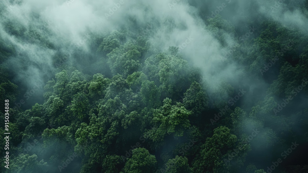 Poster fog rolling over a dense forest, creating a mysterious and ethereal atmosphere
