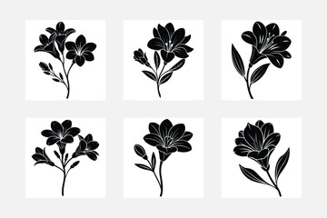 Minimal freesia flower silhouette on white background artwork set collection
