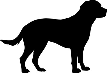 Illustration of a labrador dog silhouette. Vector.