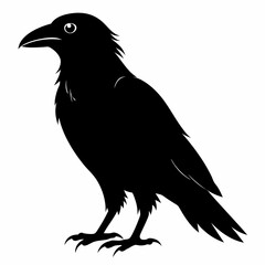 Fototapeta premium Raven Black silhouette