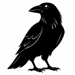 Raven Black silhouette