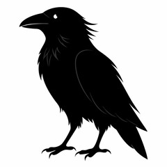 Raven Black silhouette
