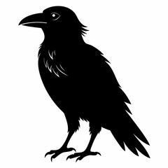 Obraz premium Raven Black silhouette
