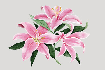 Watercolor illustration of pink lilies with lush green leaves