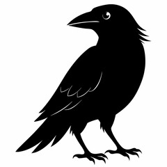 Crow Black silhouette