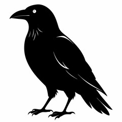 Crow Black silhouette
