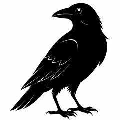 Crow Black silhouette