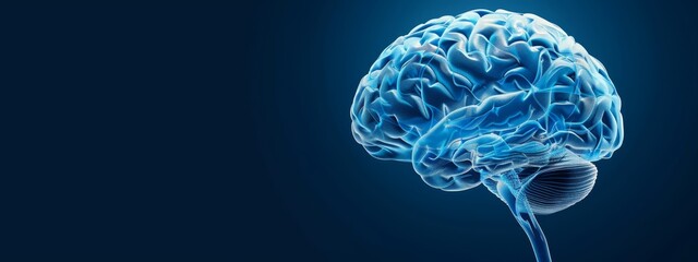  A 3D image of a human brain with a flowing blue substance down its side, revealing the upper portion