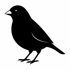 Finchesa Black silhouette