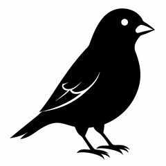 Finchesa Black silhouette