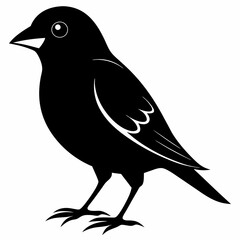 Finchesa Black silhouette