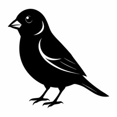 Finchesa Black silhouette