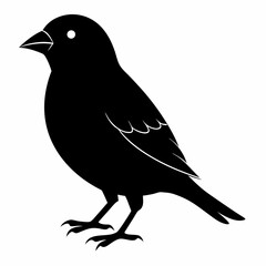 Finchesa Black silhouette