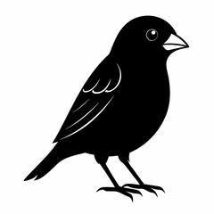 Finchesa Black silhouette