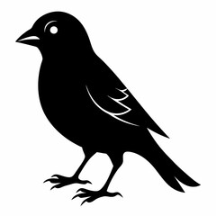 Finchesa Black silhouette