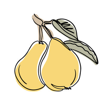 recommend clip art: Line art drawing of pears with branch and leaves in boho style. Botanical single line colored retro drawing of vegetable. Contour line outline composition isolated on white background.