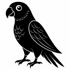 Parakeet Black silhouette