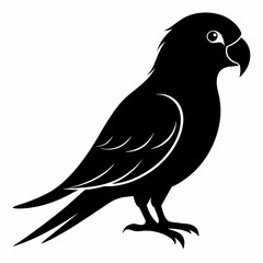 Parakeet Black silhouette