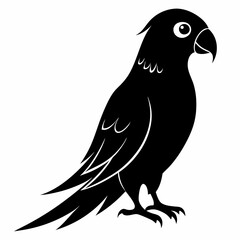 Parakeet Black silhouette