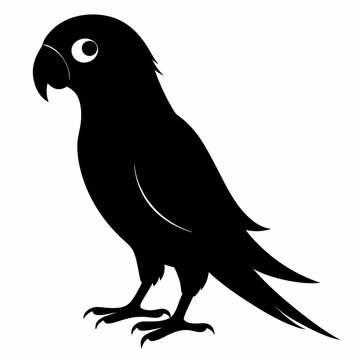 recommend clip art: Parakeet Black silhouette