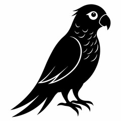 Parakeet Black silhouette