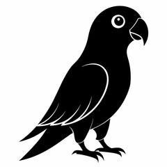Parakeet Black silhouette