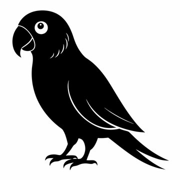 recommend clip art: Parakeet Black silhouette