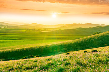 panoramic spring season landscape of beautiful greel field with yellow and salad hills and mountains in countryside