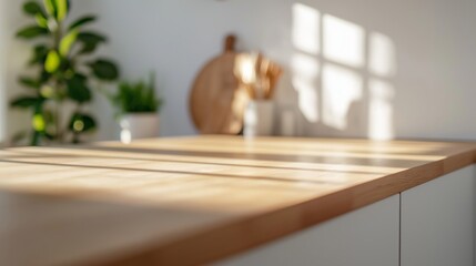 Sunlit kitchen countertop with plants and utensils in a bright, modern space during the morning.