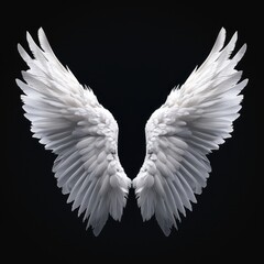 White Angel Wings on Black Background.