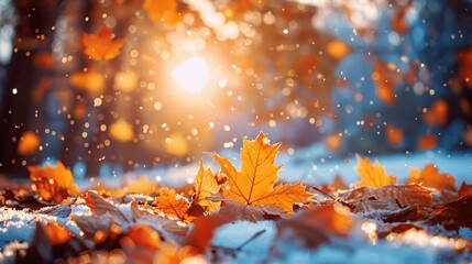 Cozy autumn leaves and winter snowfalls create a serene, seasonal charm with vibrant, snowy landscapes.